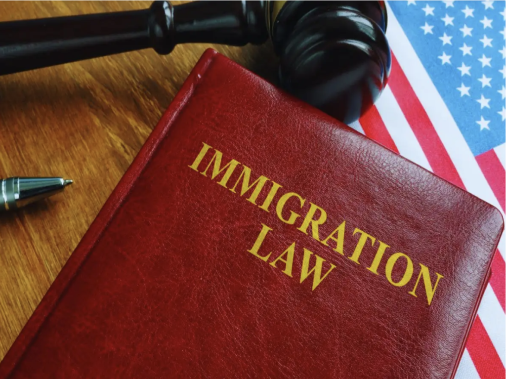 Immigration Law in Turkey